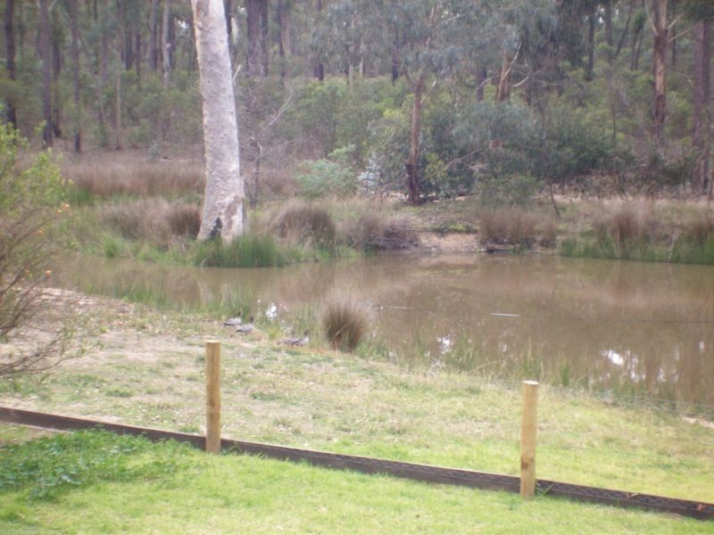 204 Lambrecht Rd, Heyfield VIC 3858