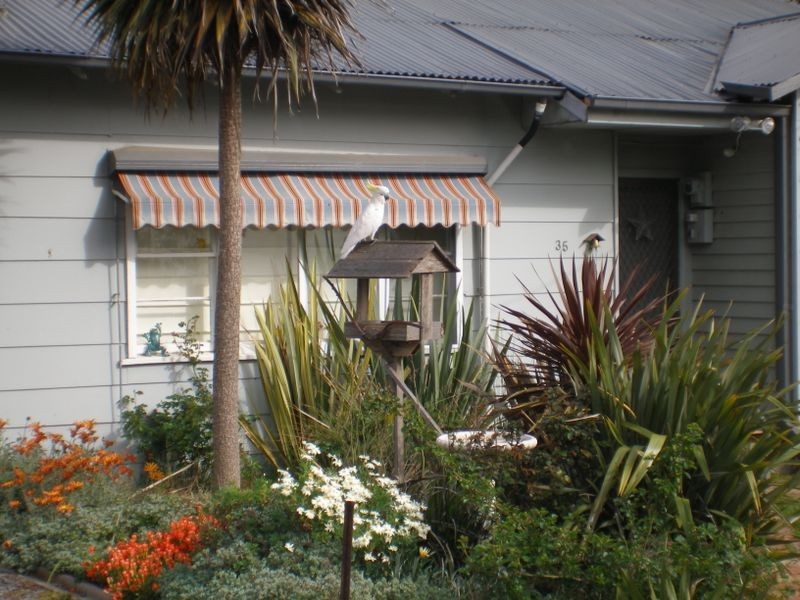 35 Weir Rd, Heyfield VIC 3858