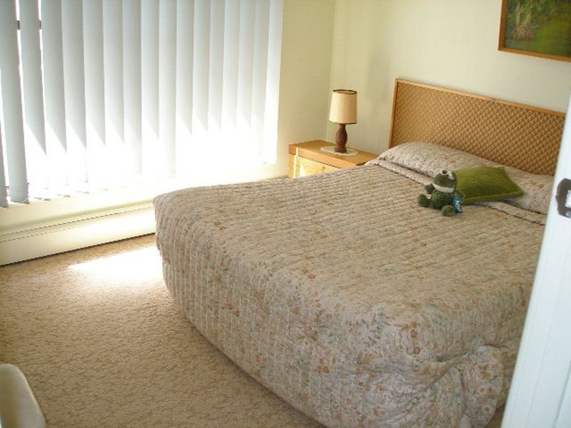 13 Mary St, Heyfield VIC 3858