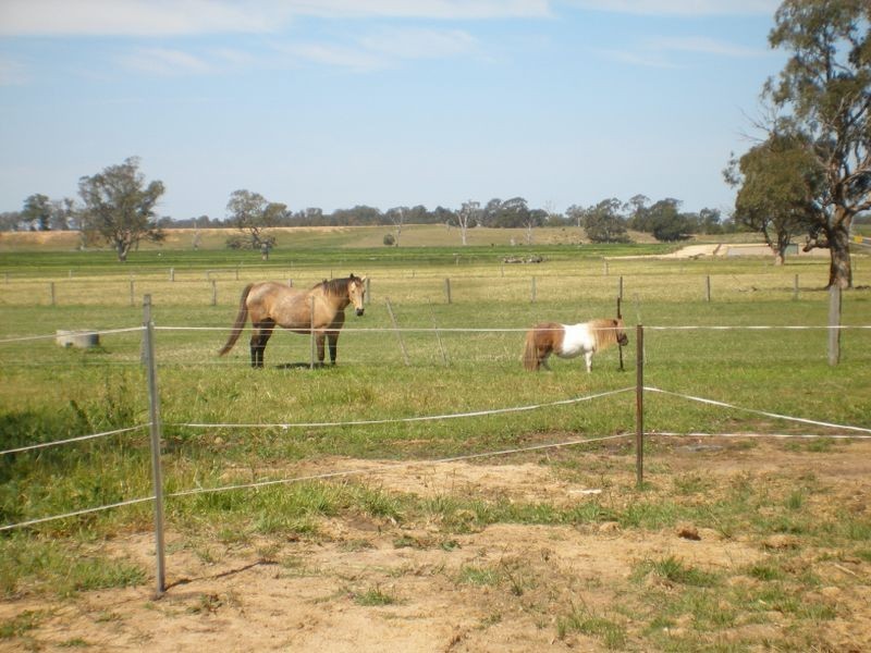 4267 Traralgon- Maffra Rd, Heyfield VIC 3858
