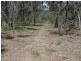Corner Tyson & Tinamba Glenmaggie Roads, Heyfield VIC 3858