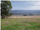 12 Fox’s Road West, Cowwarr VIC 3857