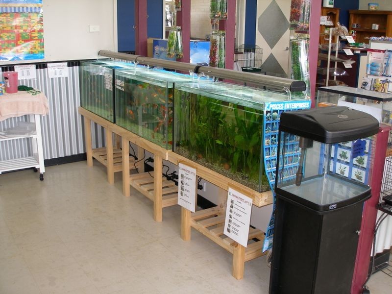 48 Temple Street, Heyfield VIC 3858