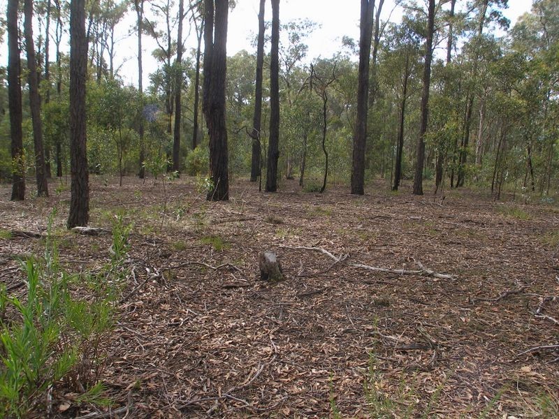 Lot 3 Sunray Court, Heyfield VIC 3858