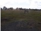 Lot 21 Molphy Court, Heyfield VIC 3858