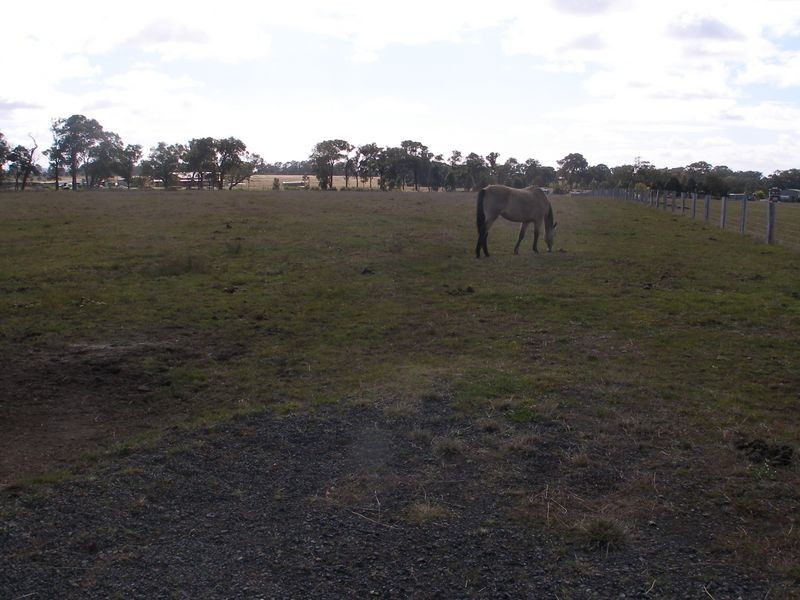 Lot 21 Molphy Court, Heyfield VIC 3858