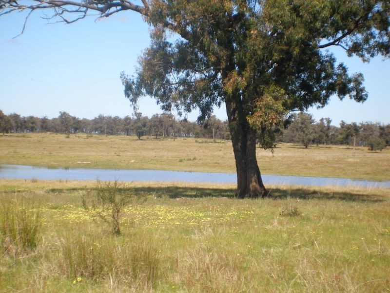 Lot 2A Heyfield Seaton Road, Heyfield VIC 3858