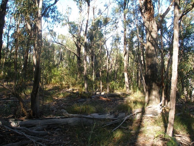 Lot 1 400 Hodges Road, Coongulla VIC 3860