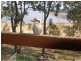 91 Tamboritha Terrace, Coongulla VIC 3860