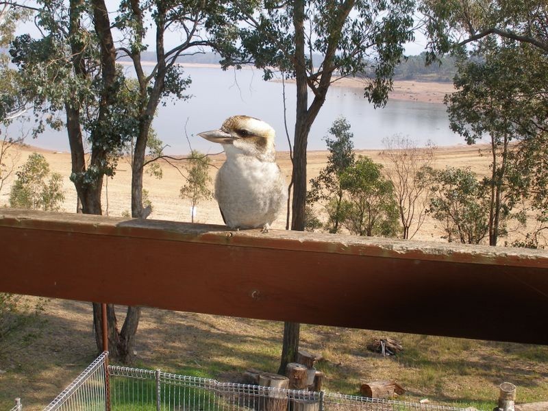 91 Tamboritha Terrace, Coongulla VIC 3860