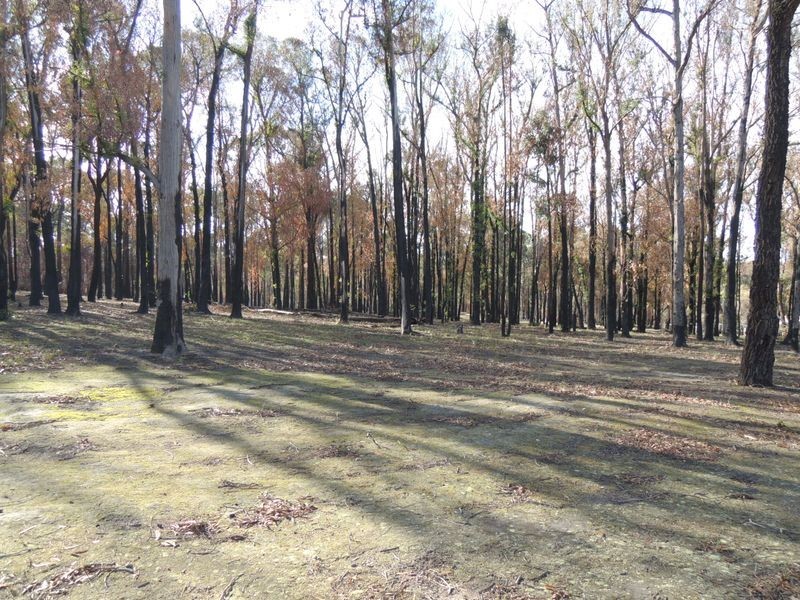 Lot 6 Johnsons Lane, Seaton VIC 3858