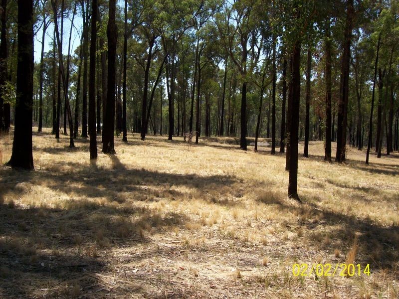 Lot 6 Johnsons Lane, Seaton VIC 3858
