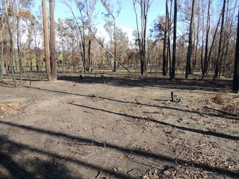 Lot 6 Old Joes Road, Heyfield VIC 3858