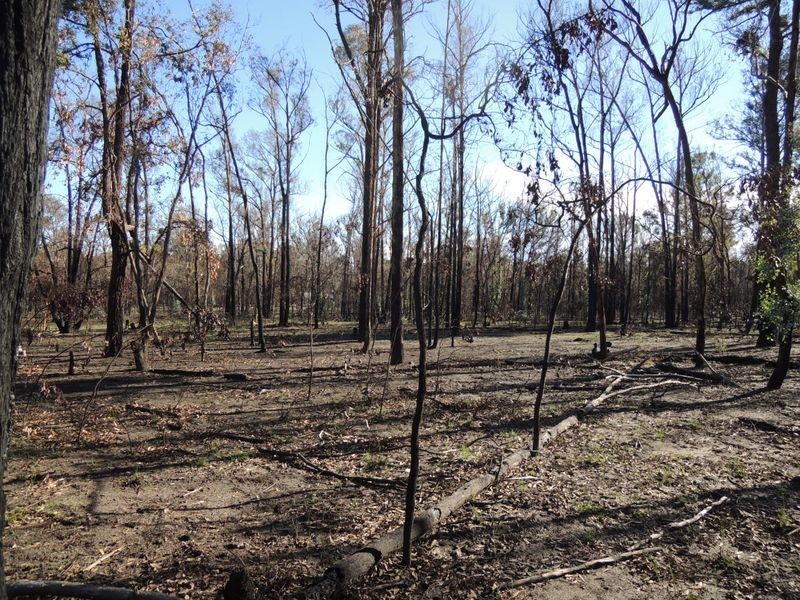 Lots 1 2 & Lambrecht Road, Heyfield VIC 3858