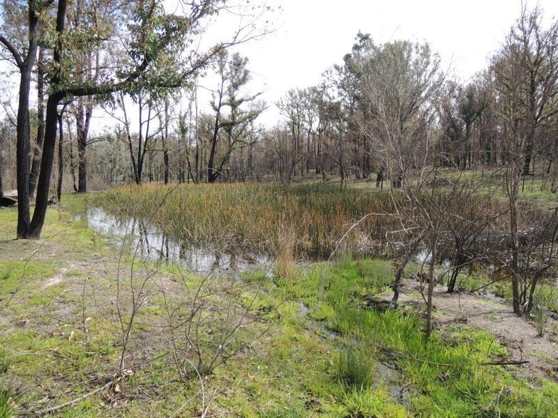 Lot 2 Boobook Track, Seaton VIC 3858