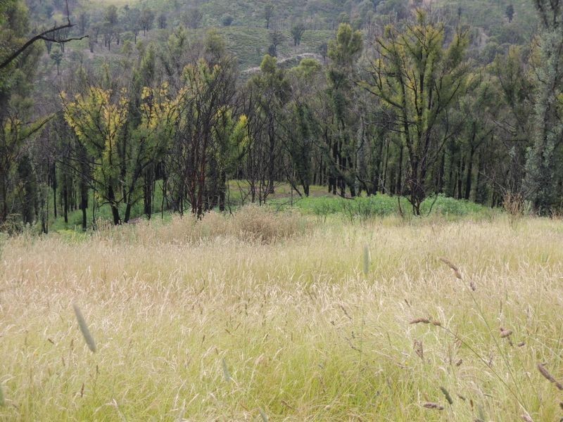 R78 Kellehers Road, Glenmaggie VIC 3858