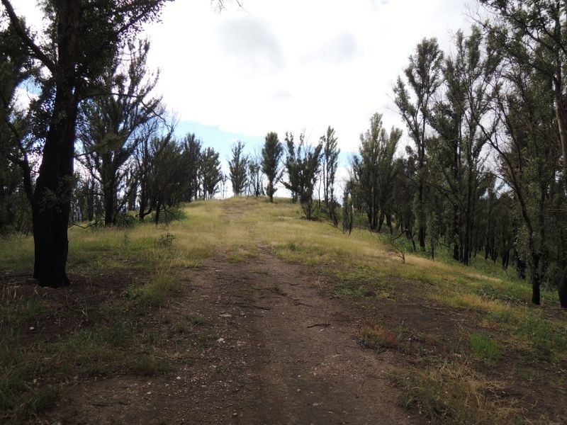 R78 Kellehers Road, Glenmaggie VIC 3858