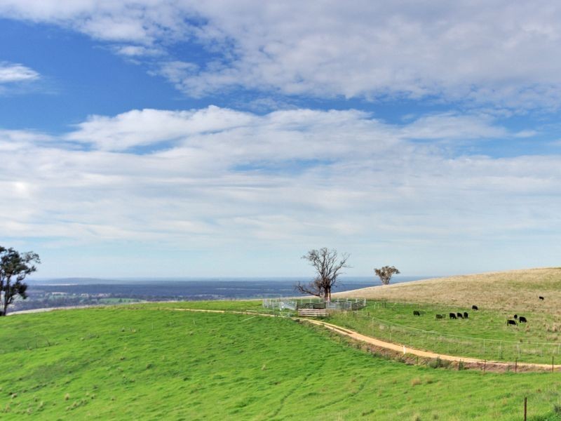 15 Aubreys Road, Seaton VIC 3858