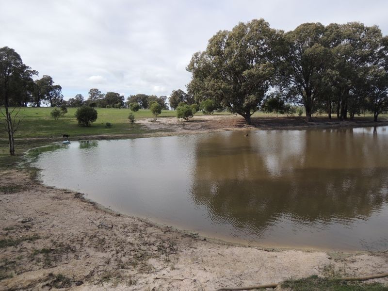 Lot 5 Rifle Range Road, Heyfield VIC 3858