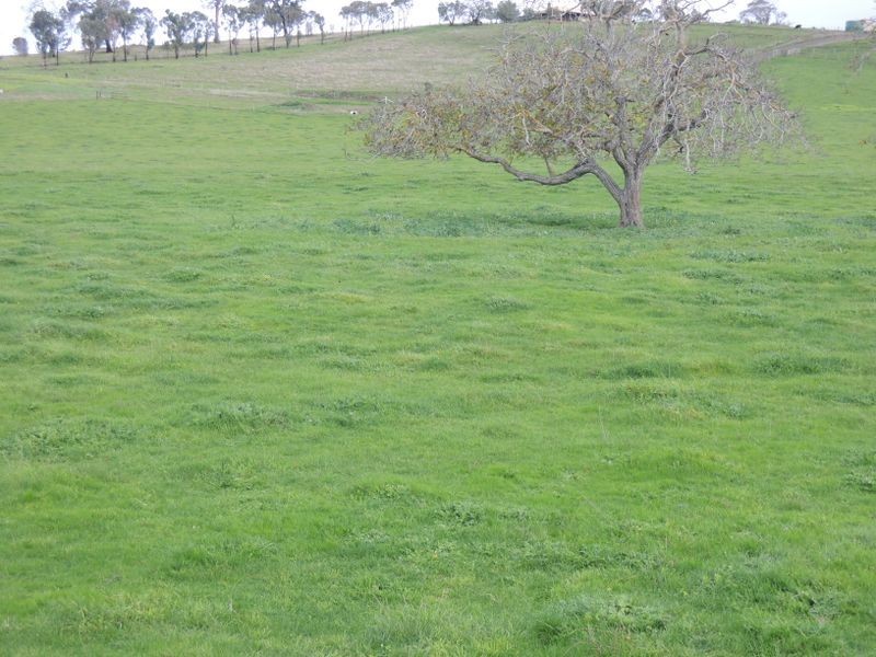 Lot 3/1122 Seaton Road, Seaton VIC 3858