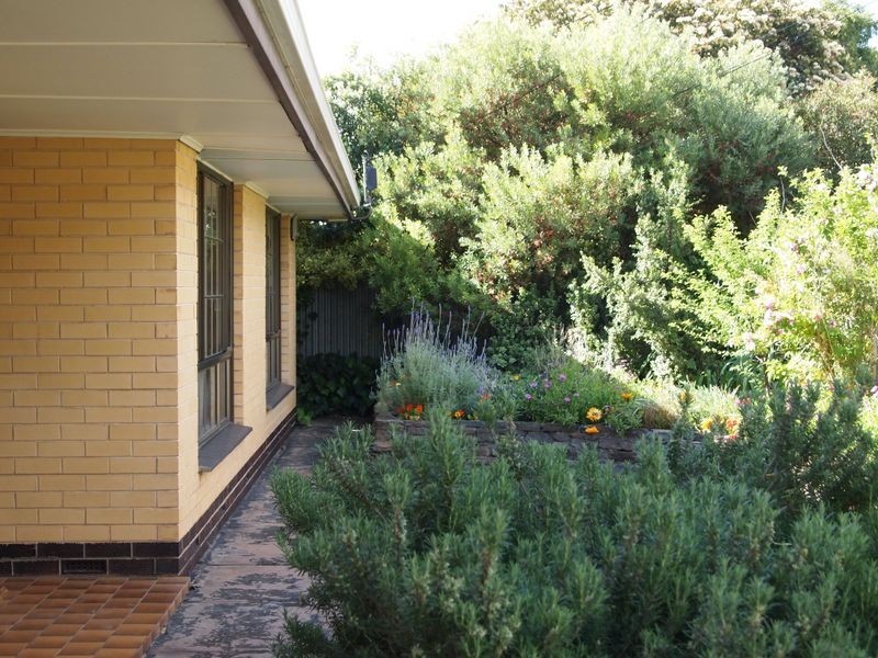 Ridgehaven SA 5097