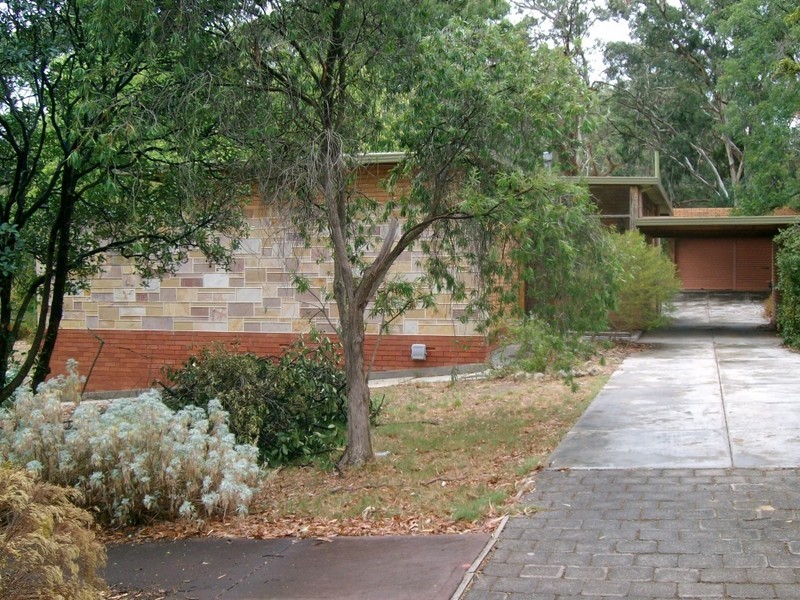 6 Lewis Avenue, Tea Tree Gully SA 5091