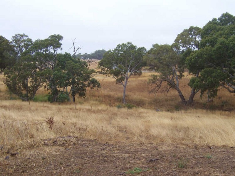 Lot 22 Winton Road, Birdwood SA 5234