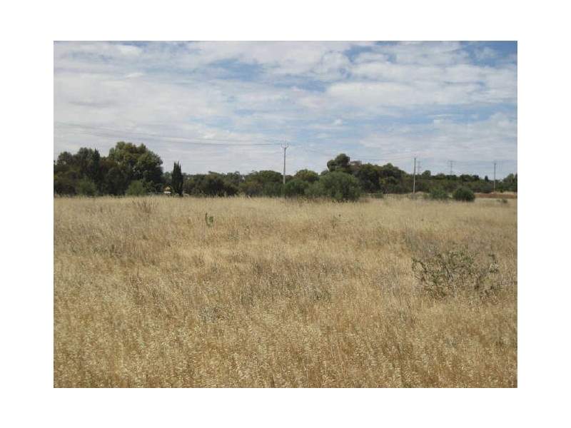 Lot 103 Williams Road, Gould Creek SA 5114