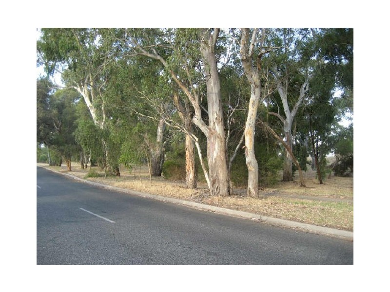 28 Kingfisher Drive, Modbury Heights SA 5092