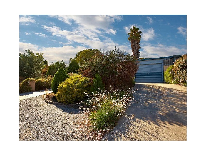 11 Wongabeena Drive, Surrey Downs SA 5126