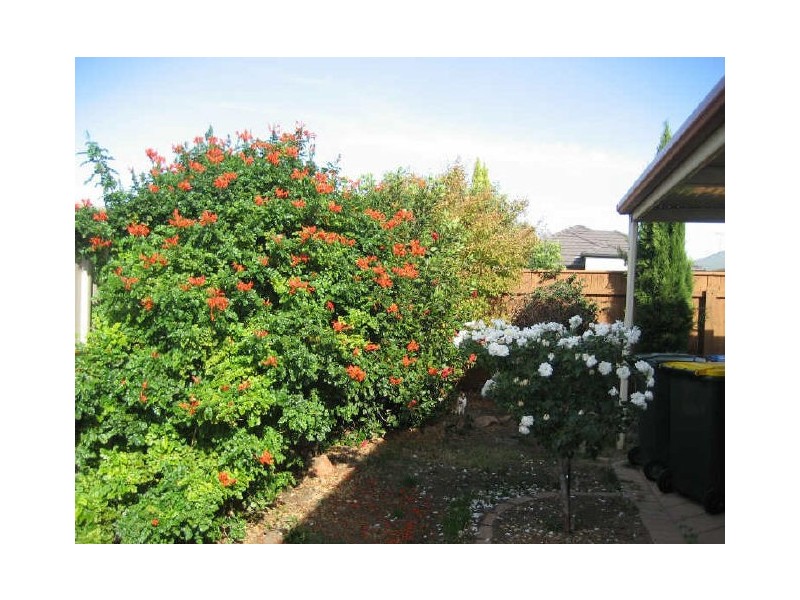 4 Hidcote Circuit, Oakden SA 5086