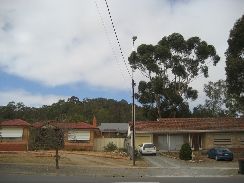 13 Perseverance Road, Tea Tree Gully SA 5091