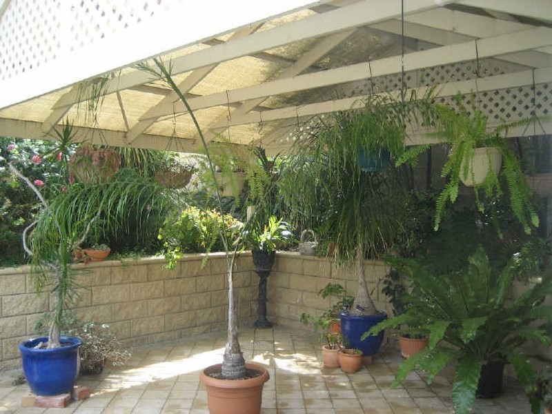 14 St Albans Avenue, Valley View SA 5093