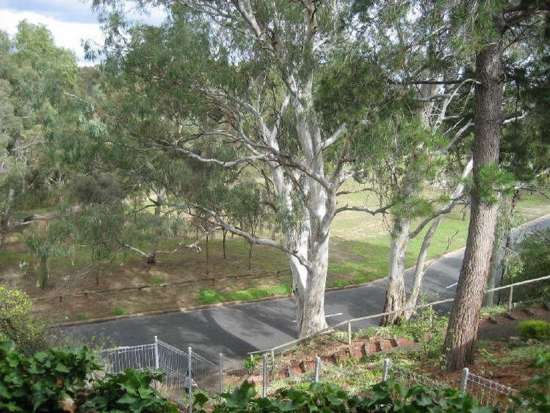 88 Mahogany Avenue, Highbury SA 5089