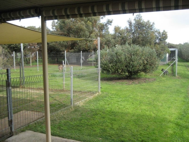 5 Pederick Court, Lewiston SA 5501