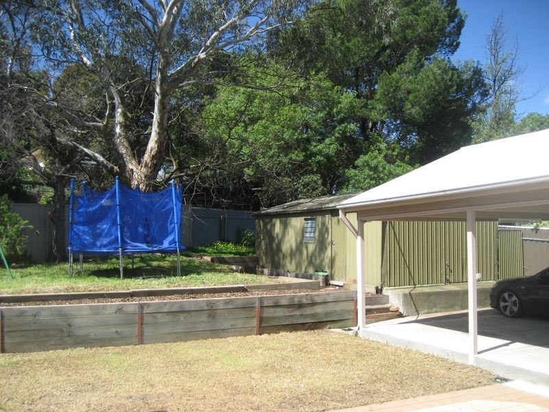 245 Hancock Road, Banksia Park SA 5091