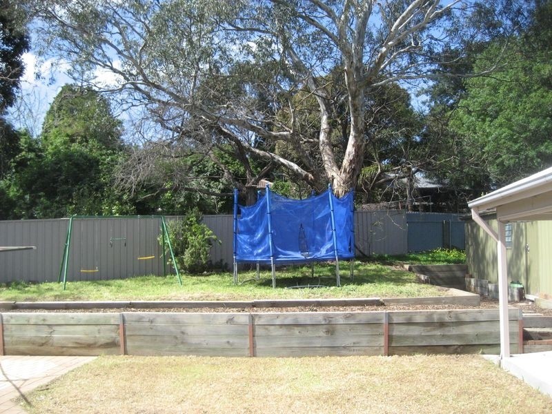 245 Hancock Road, Banksia Park SA 5091