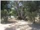 1 Leane Avenue, Ridgehaven SA 5097