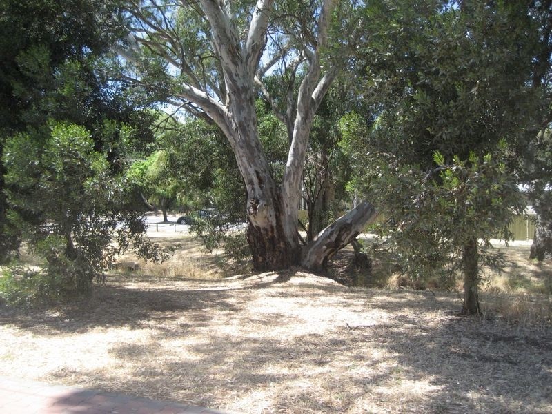 1 Leane Avenue, Ridgehaven SA 5097