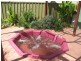 18 Harvest Ct, Andrews Farm SA 5114