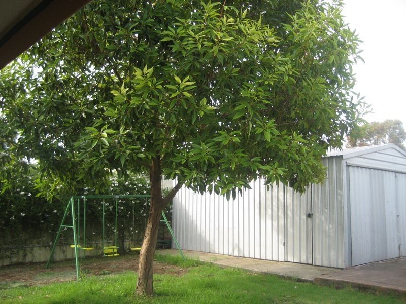 7 Bentine Street, Para Vista SA 5093