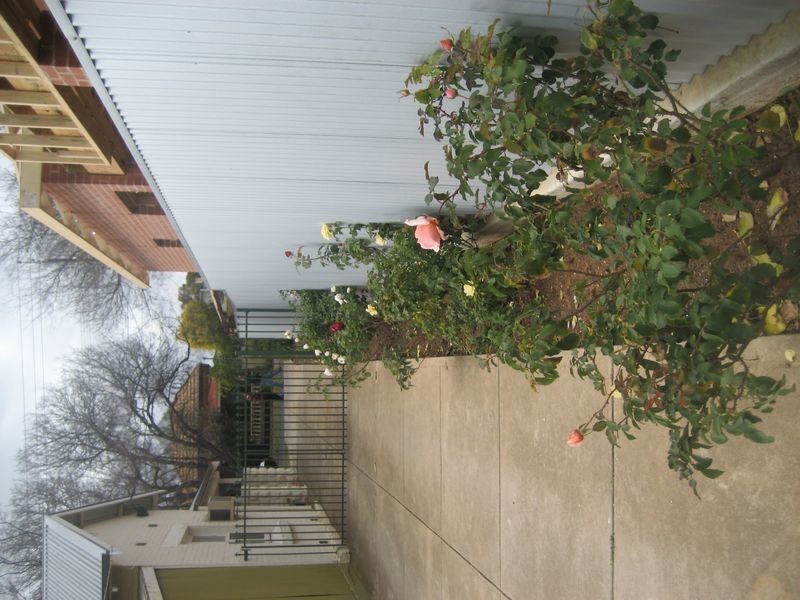 22 Hudson Street, Prospect SA 5082