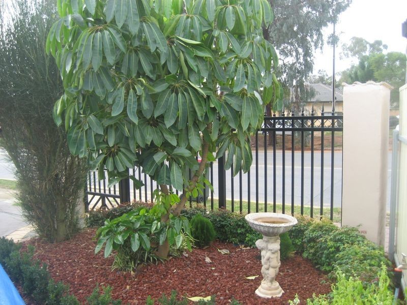 67 Smith Road, Salisbury East SA 5109