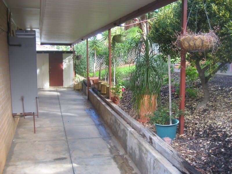 50 Salisbury Avenue, Valley View SA 5093