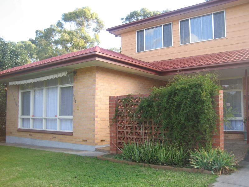 50 Salisbury Avenue, Valley View SA 5093