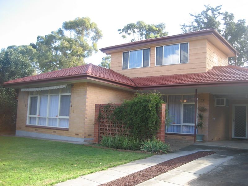 50 Salisbury Avenue, Valley View SA 5093