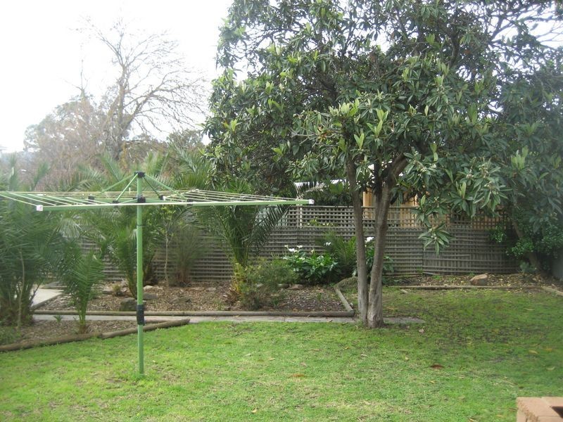 3 Harcourt Terrace, Modbury SA 5092