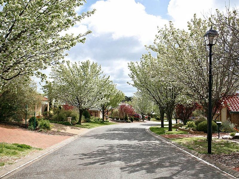 6 Baynes Court, Greenwith SA 5125