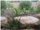 17a Bayvue Crescent, Ridgehaven SA 5097
