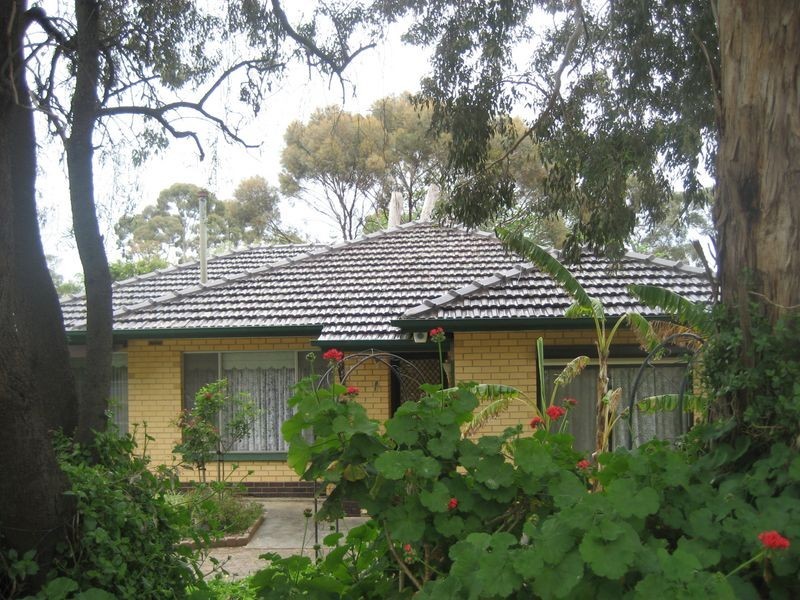 81 Elizabeth Street, Banksia Park SA 5091